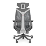 Silla Dragon - Image 5